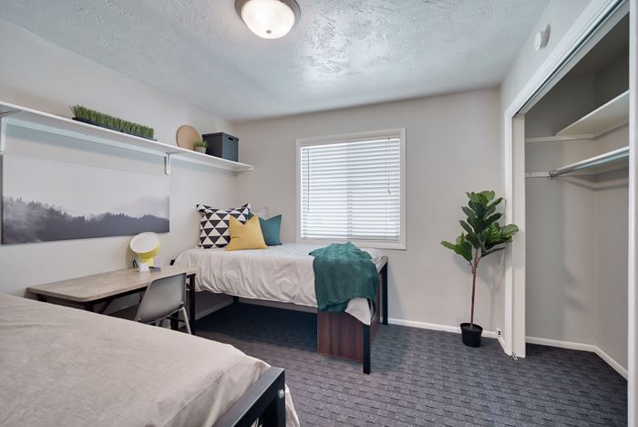 Top Essentials to Bring with You To College